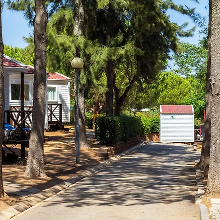 Parque De Campismo Orbitur Valverde Luz
