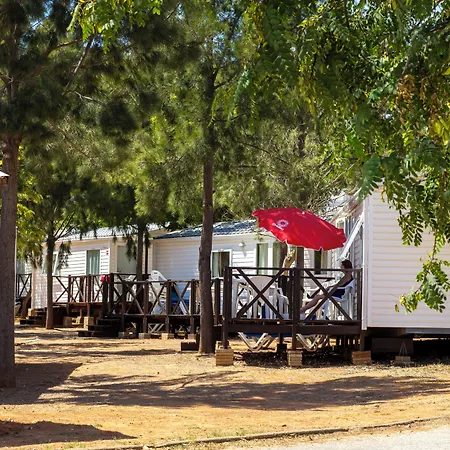 Parque De Campismo Orbitur Valverde Praia Da Luz